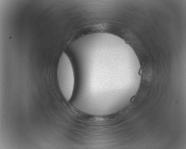 X0000069790518200605190847