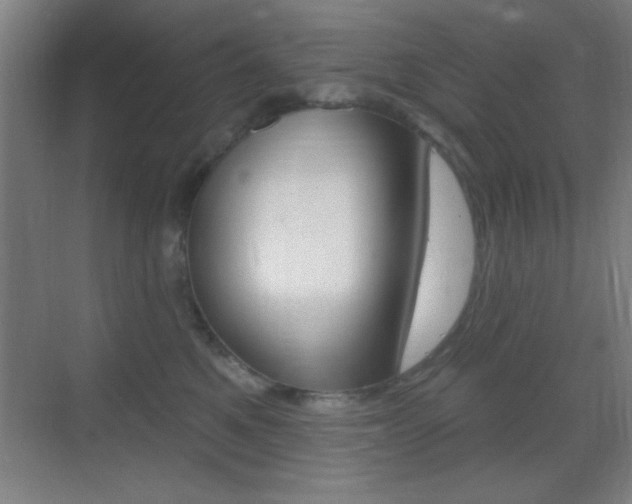 X0000069790521200605190847