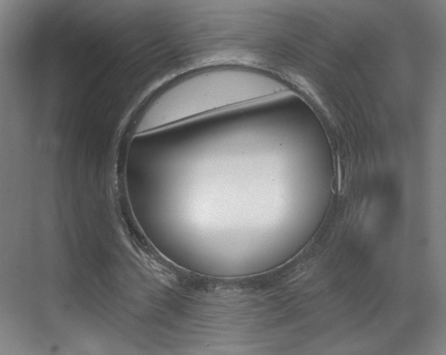 X0000069790531200605190846