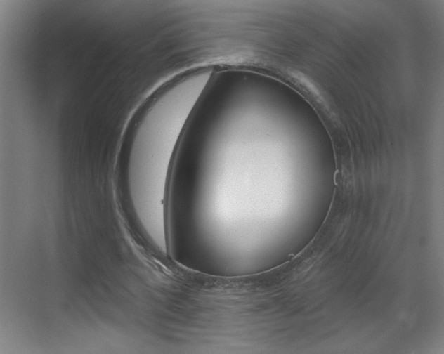 X0000069790532200605190846
