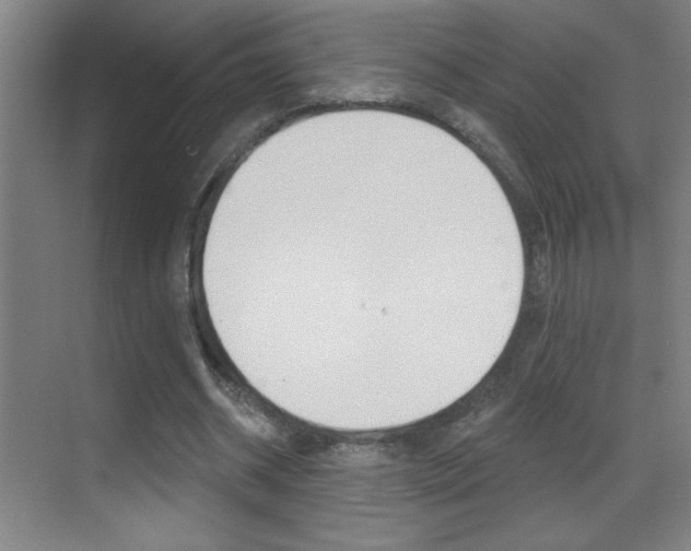 X0000069790534200605190846