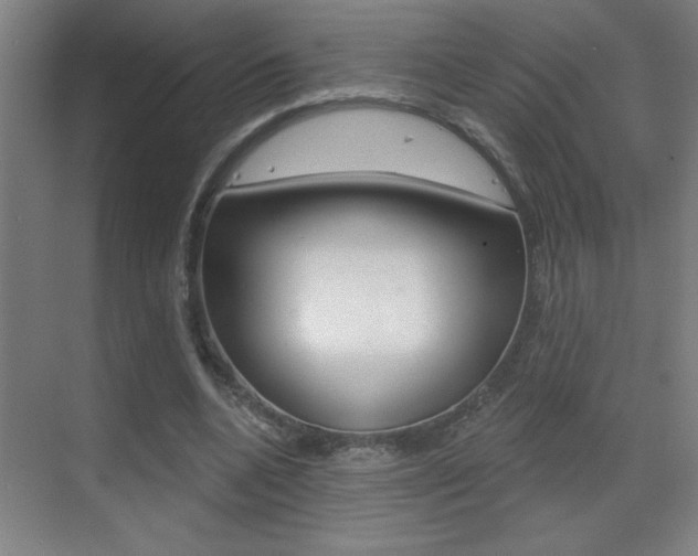X0000069790536200605190846