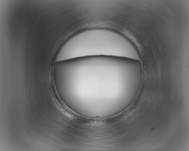 X0000069790537200605190846