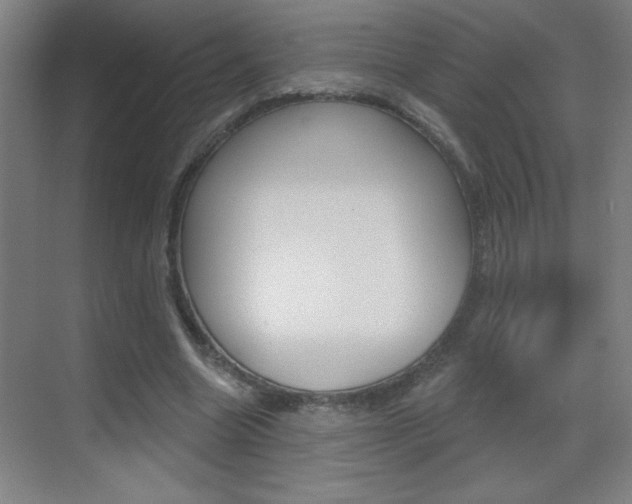 X0000069790538200605190846