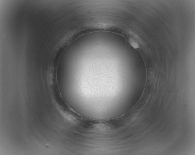 X0000069790544200605190846