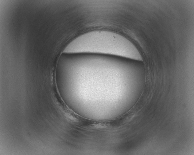 X0000069790545200605190846