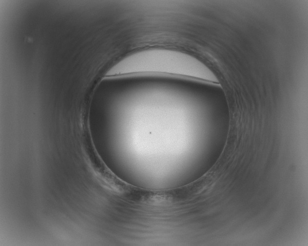 X0000069790546200605190846