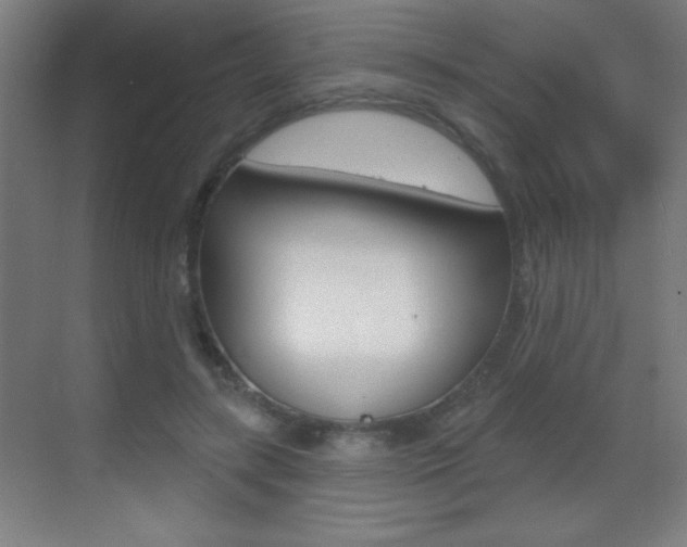 X0000069790547200605190846
