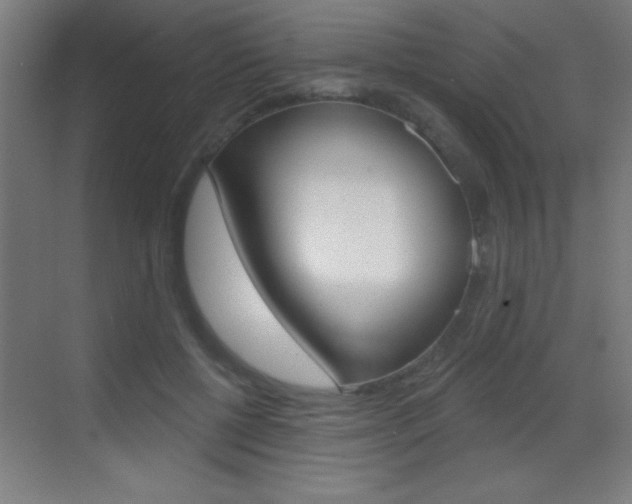 X0000069790552200605190846