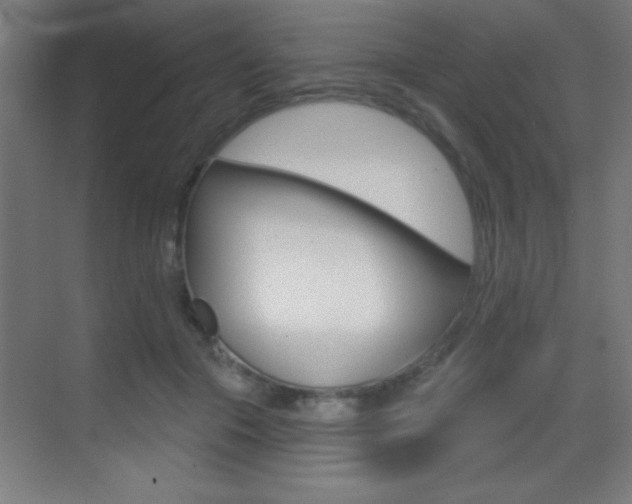 X0000069790553200605190846