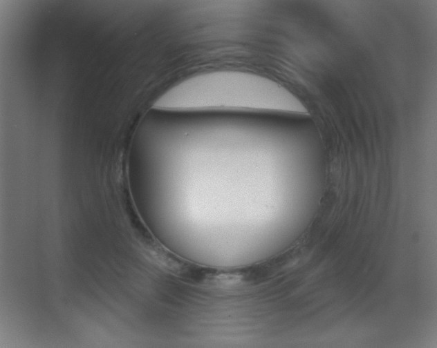 X0000069790554200605190846