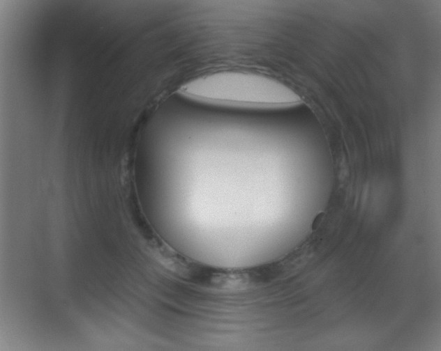X0000069790559200605190846