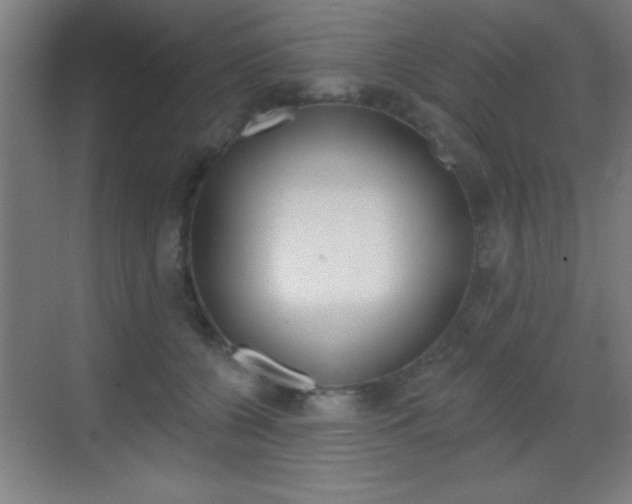 X0000069790560200605190846
