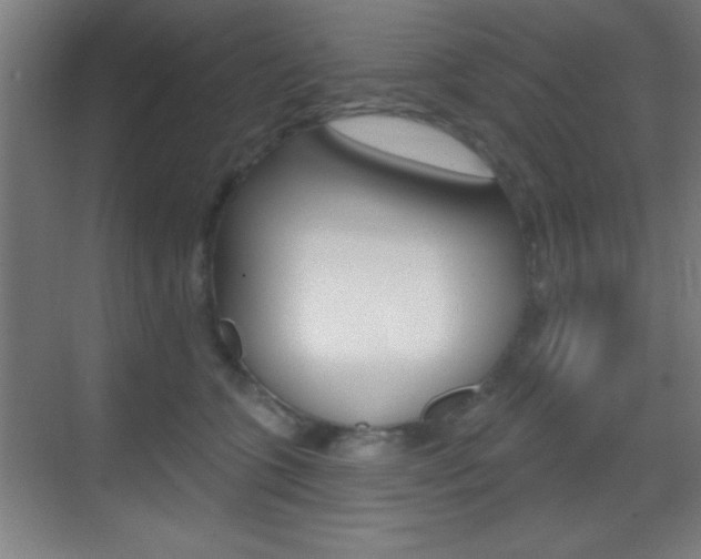 X0000069790563200605190846