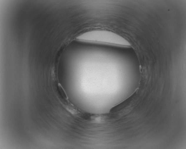 X0000069790564200605190846