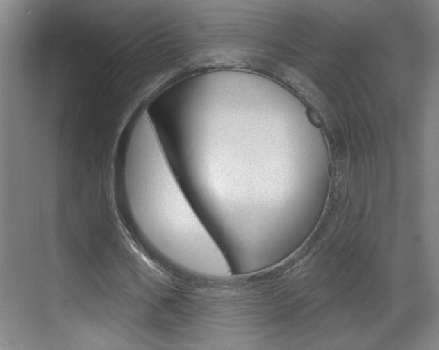 X0000069790578200605190846