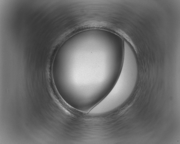 X0000069790581200605190846