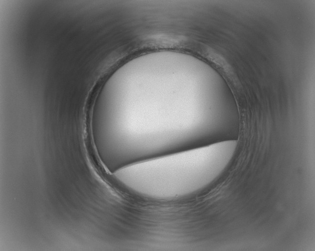 X0000069790582200605190846