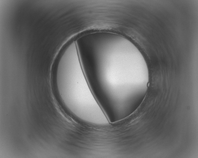 X0000069790584200605190846