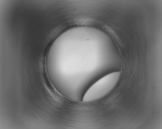 X0000069790586200605190846