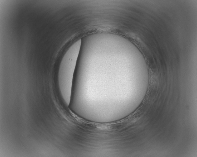 X0000069790591200605190846