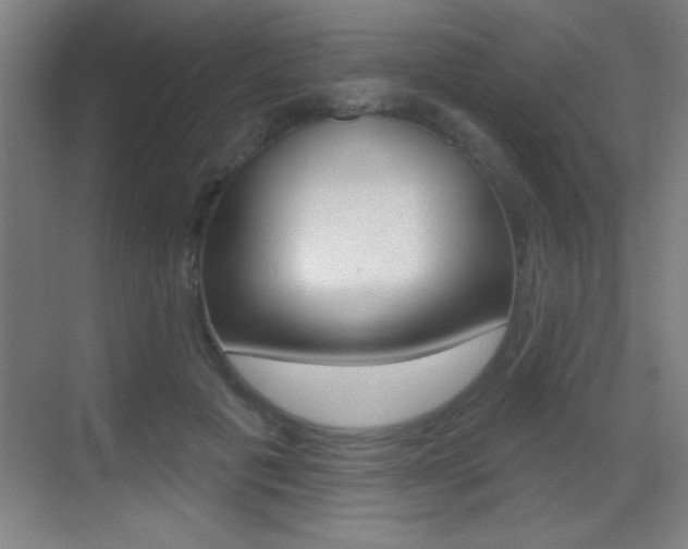 X0000069790601200605190845