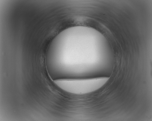 X0000069790603200605190845