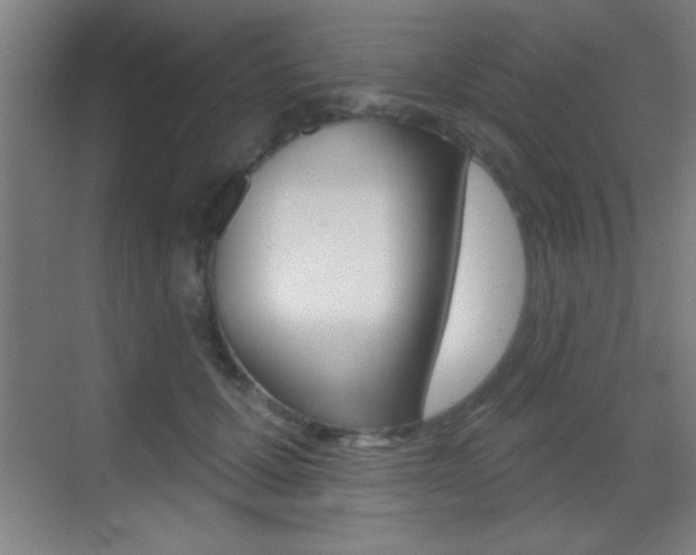 X0000069790607200605190845