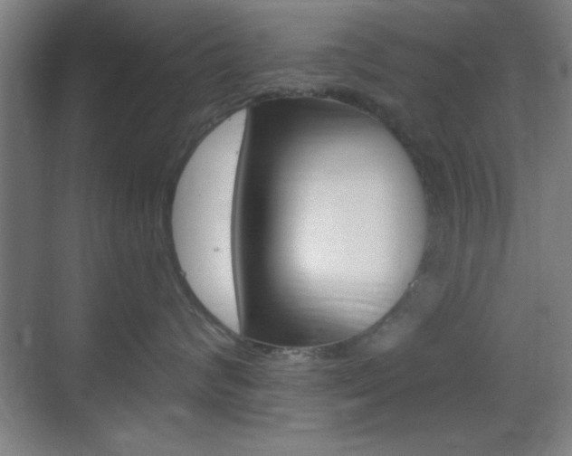 X0000069790624200605190845