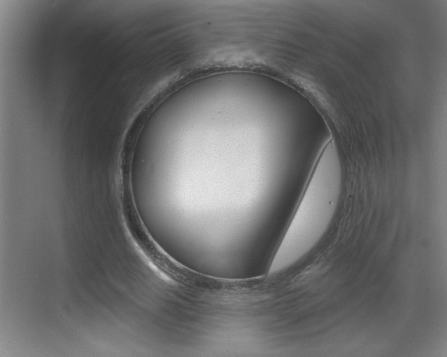 X0000069790630200605190844