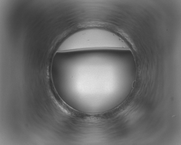X0000069790633200605190844