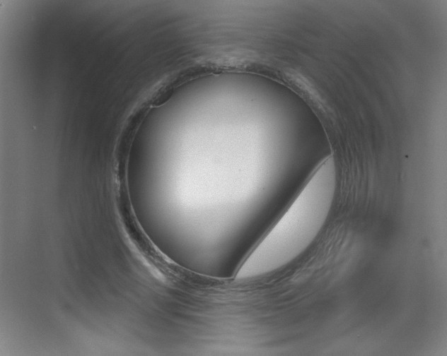 X0000069790634200605190844