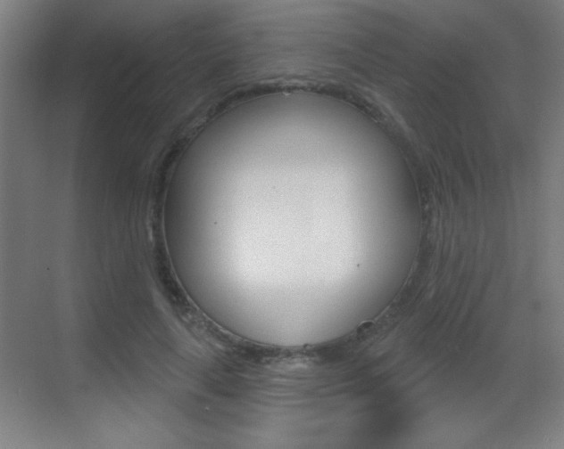 X0000069790643200605190844