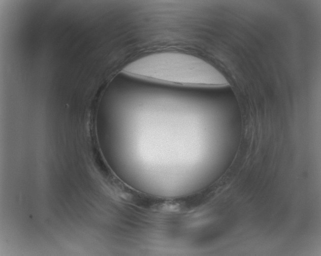 X0000069790647200605190845
