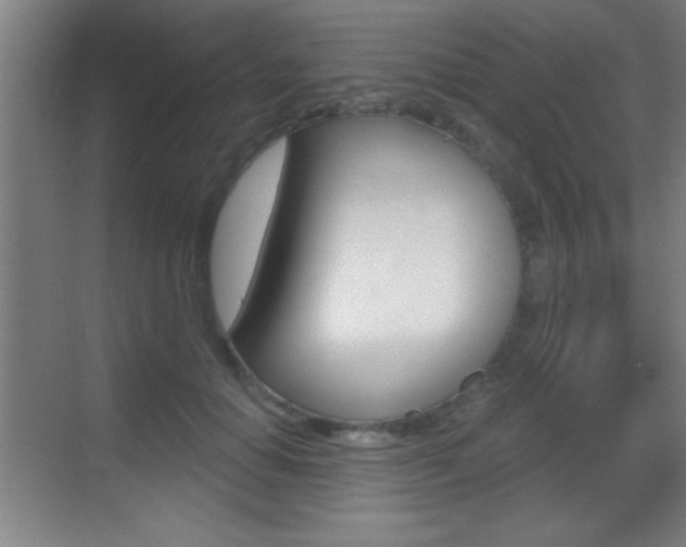 X0000069790654200605190845