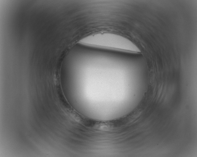 X0000069790655200605190845