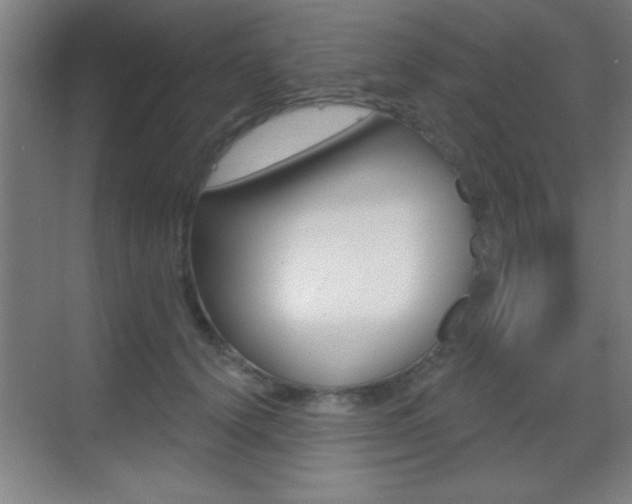 X0000069790656200605190845