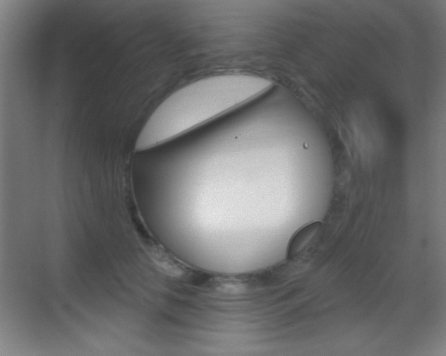 X0000069790658200605190845