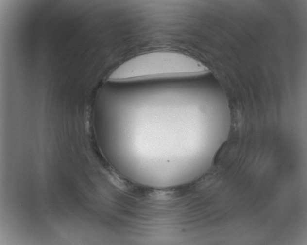 X0000069790664200605190845