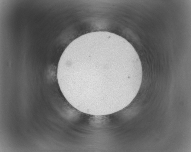 X0000069790672200605190845