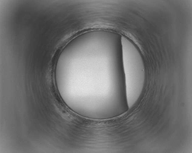 X0000069790675200605190844