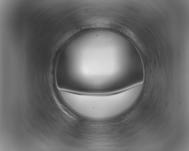 X0000069790677200605190844