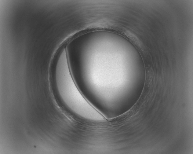 X0000069790680200605190844