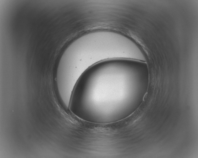 X0000069790681200605190844