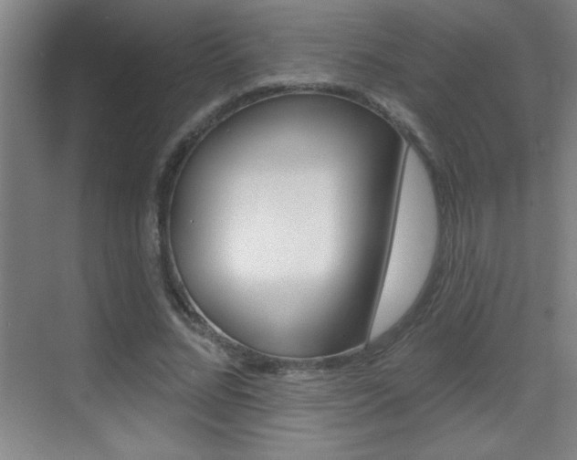 X0000069790684200605190844