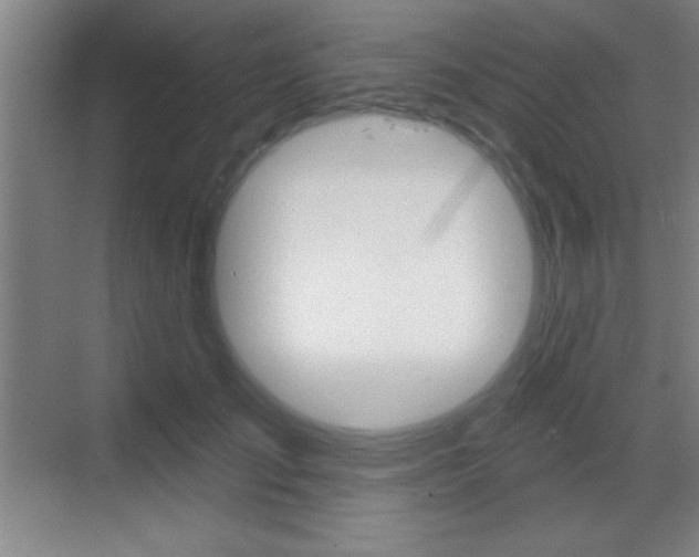 X0000069790701200605190844