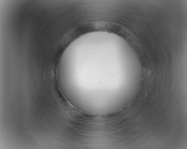 X0000069790702200605190844