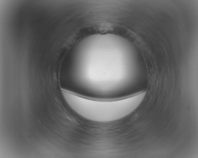 X0000069790704200605190844