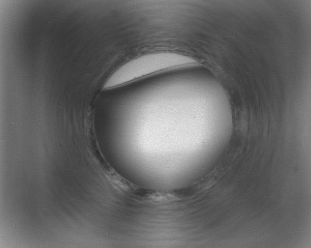 X0000069790712200605190844