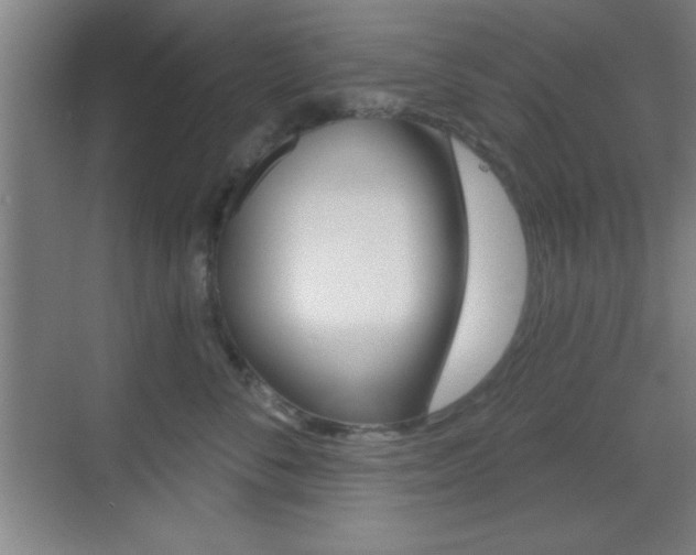 X0000069790716200605190843
